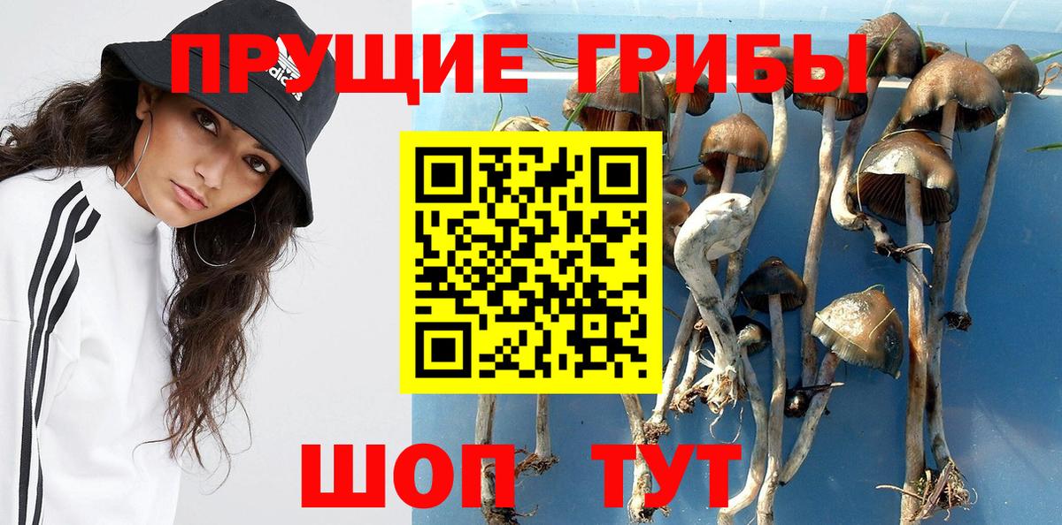 Галлюциногенные грибы ЛСД Новосибирск